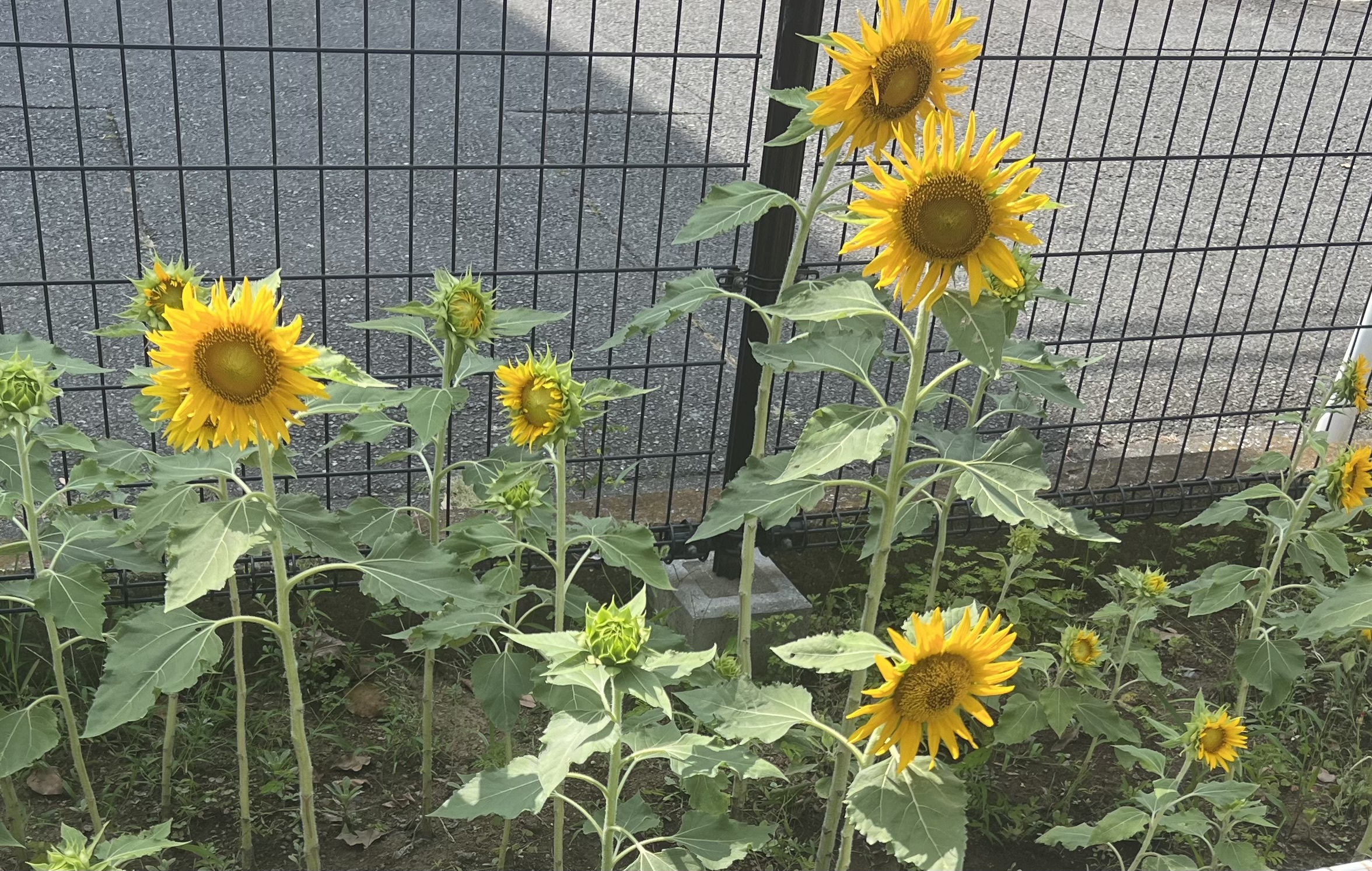 本日もありがとうございました♡