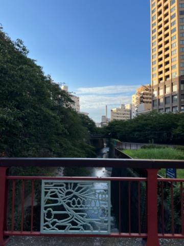 今日も一日頑張ろう！