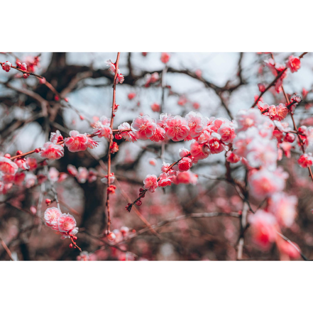 3月もよろしくお願いします