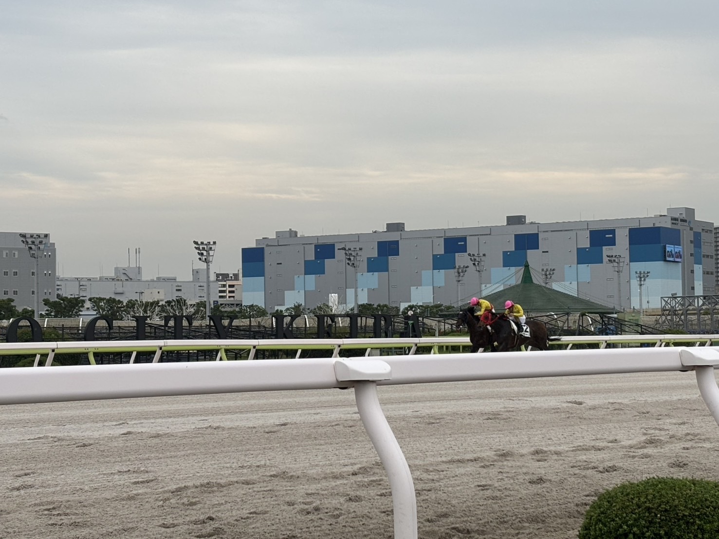【私のDAYオフ編】初めての大井町競馬