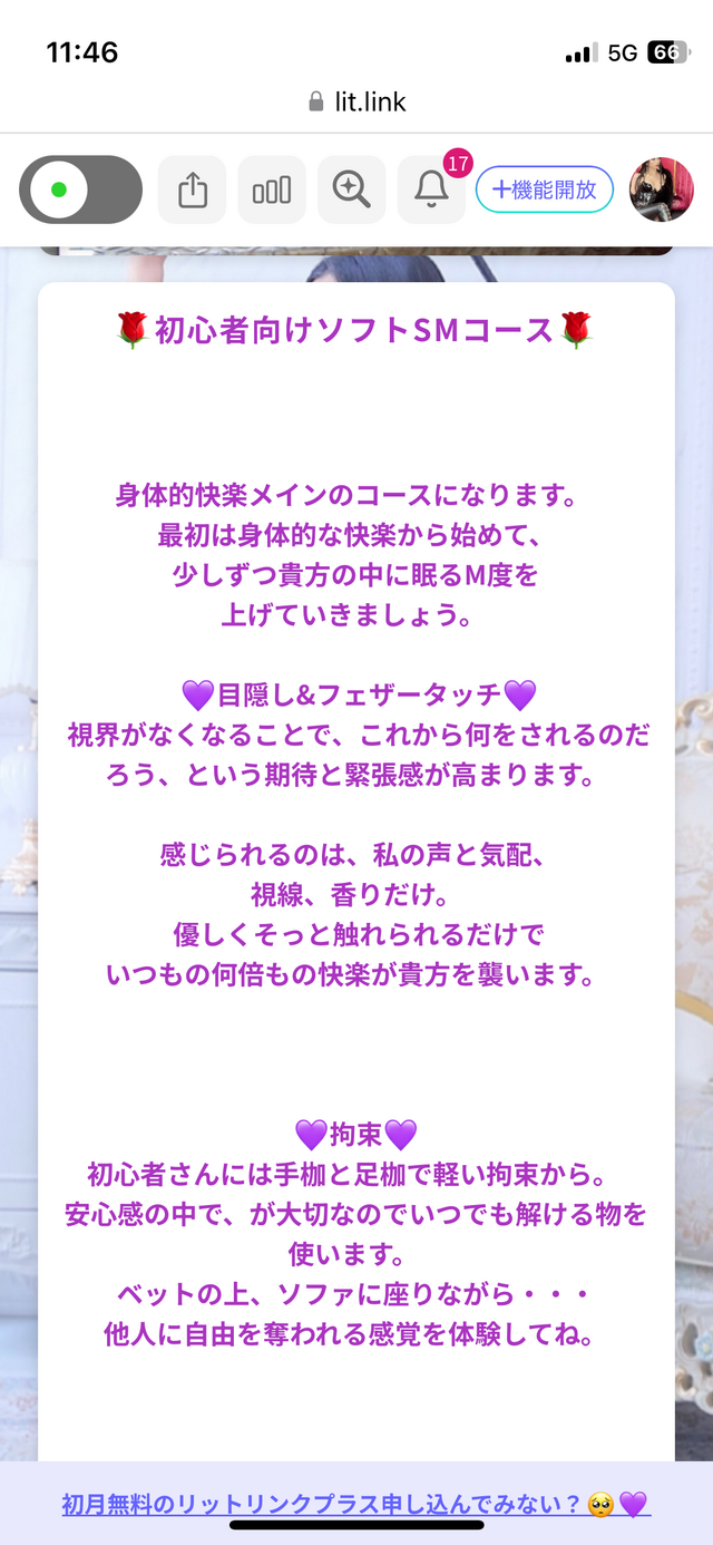 初心者向けコースを作りました🩷