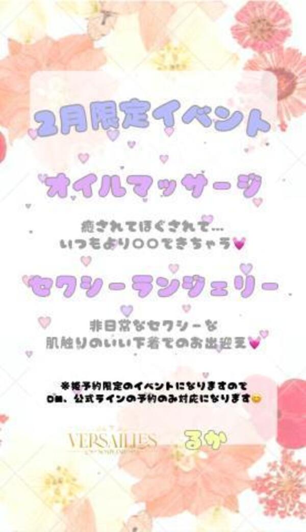 【今月の告知】