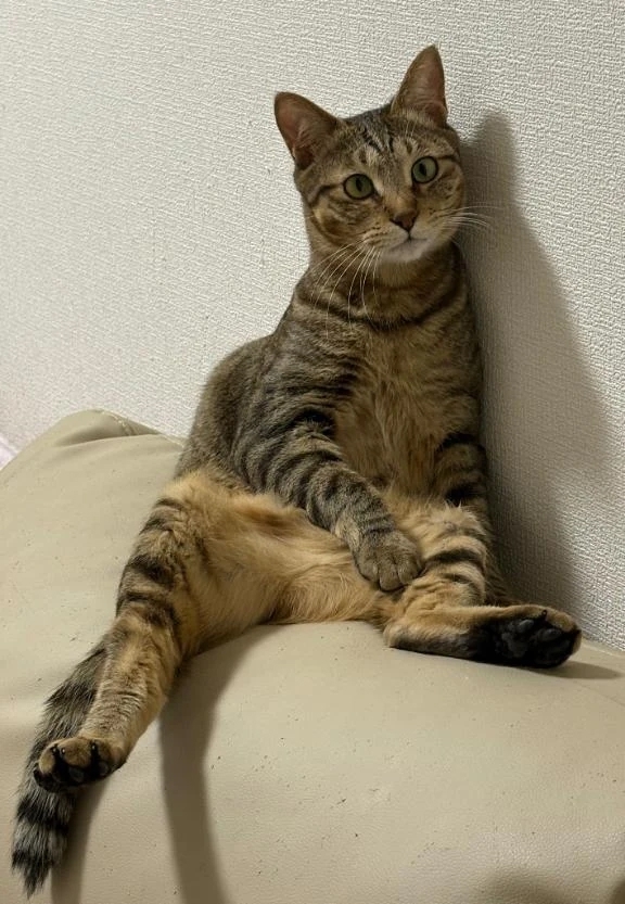 やっと♡