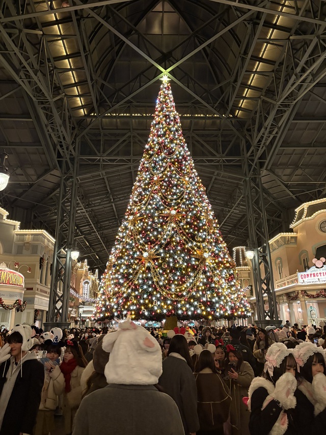 お昼暖かかったね‪🔆‬