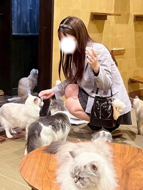 🍒 まんきつ