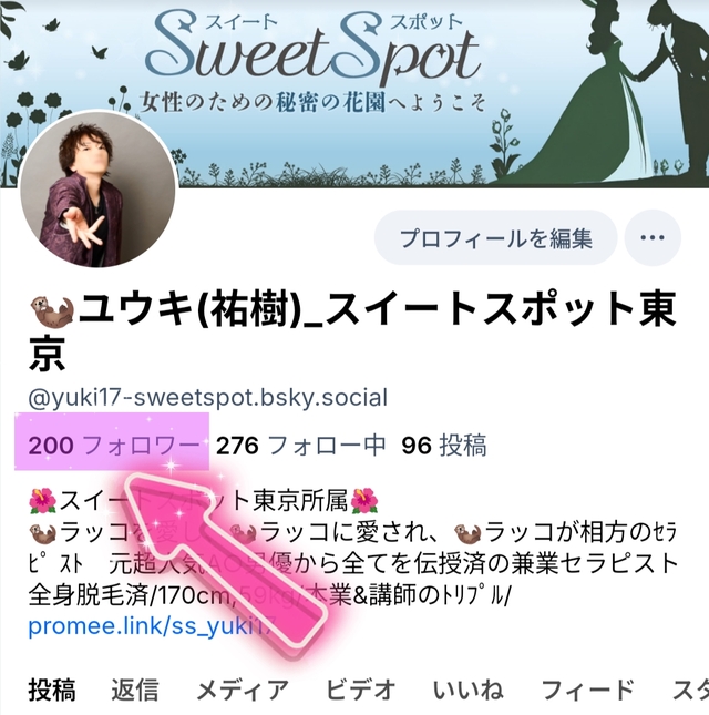 Blueskyのフォロワー