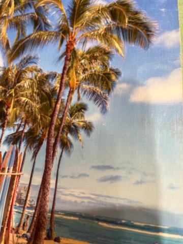 ??ご予約嬉しい??