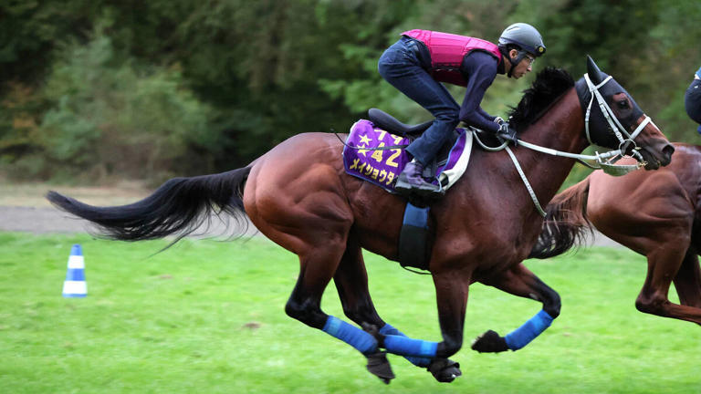  ◆凱旋門賞・仏Ｇ１（１０月４日、パリロンシャン競馬場・芝２４００メートル）
