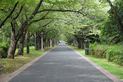 華金だよ～ん！