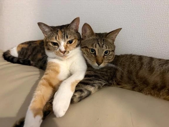 ラブラブ♡