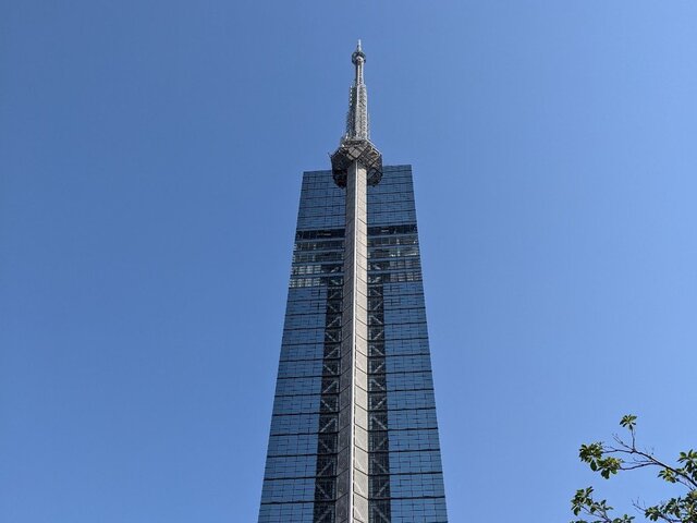 高いところ、手は握ってね