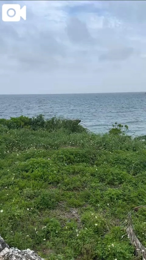 宮古島また行きたいな🏖️