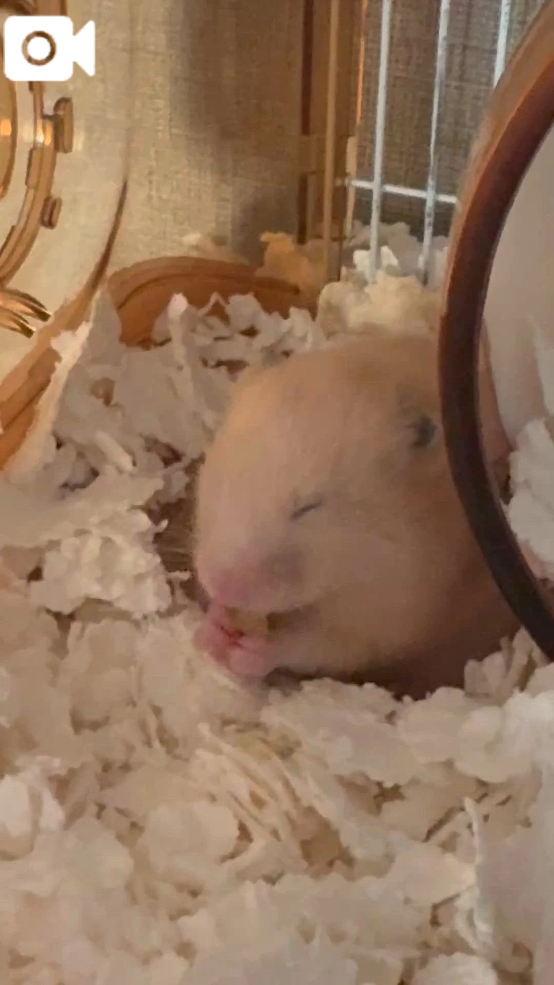 🎀ありがとうございました🎀