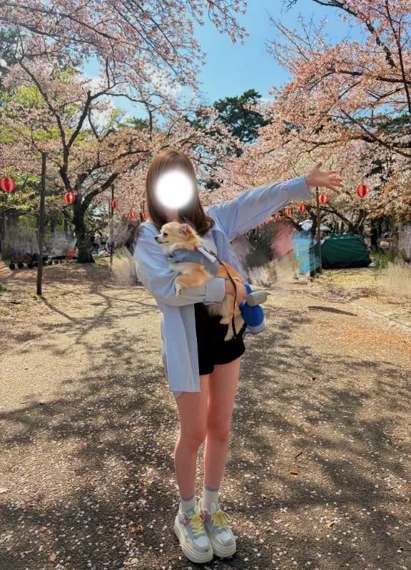 お弁当のおかずは何が好き？