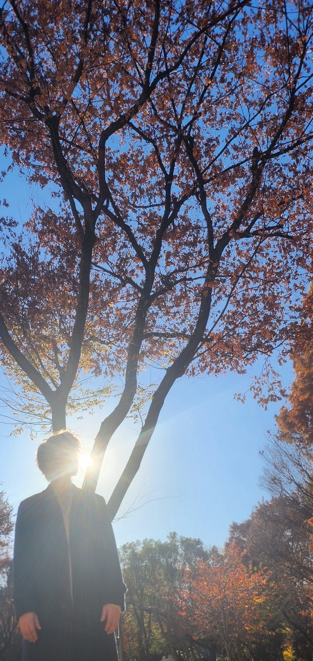 🍂🍂もう秋が終わる🍂🍂