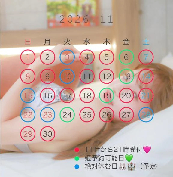 11月&12月🗓️🎀🩷