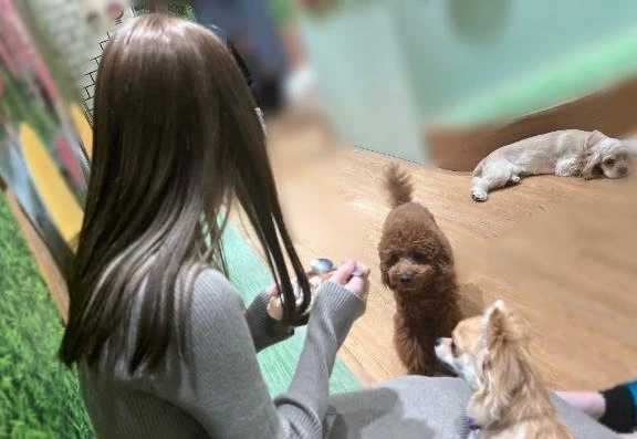 月イチのルナの癒やし時間