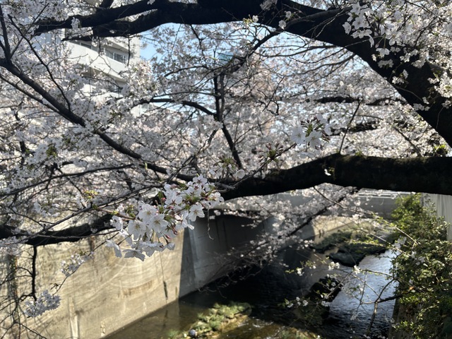 この春、変えたいこと