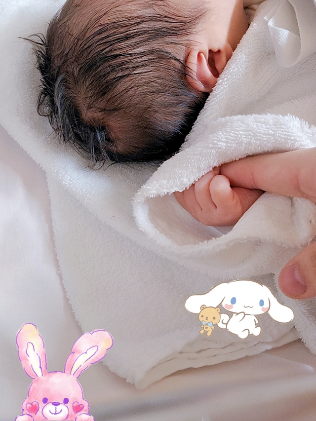 ✨️近日復活✨