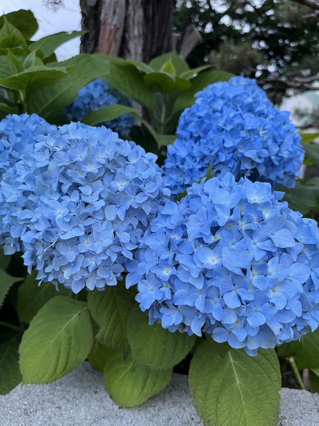 おはようございます☁️