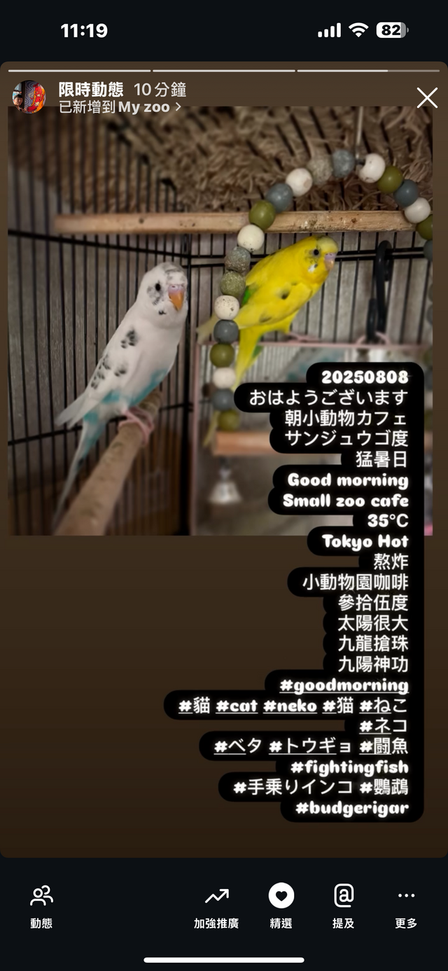 早安