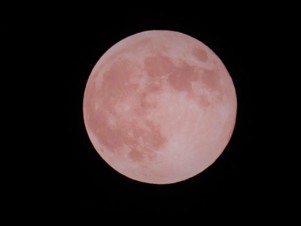 満月の夜は狂いたい