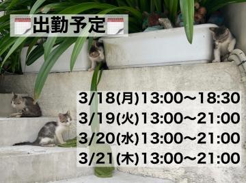 来週の出勤予定