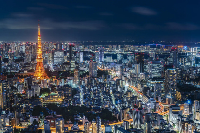 レギュラー昇格