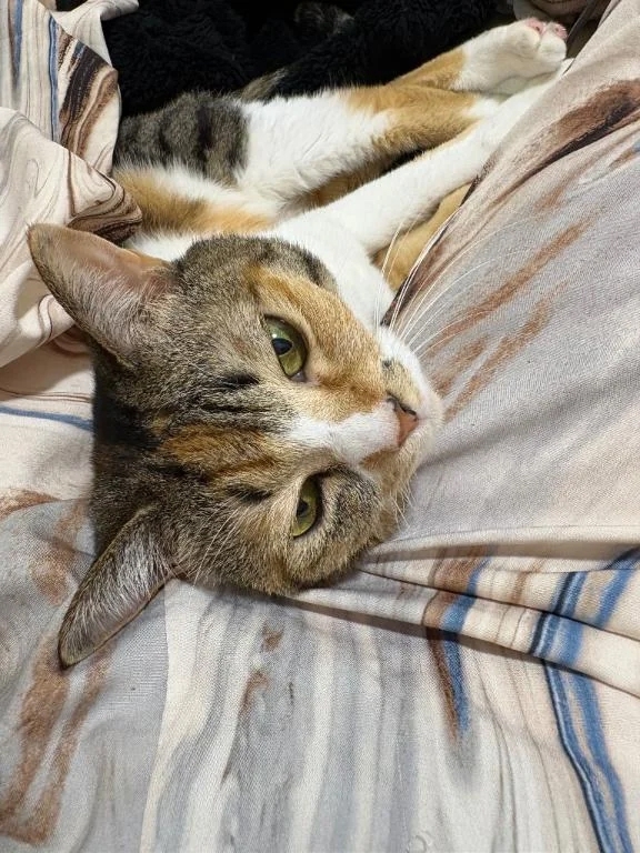 おまたのぬくもり♡