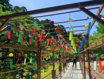 急降下すれば上がるのみ。