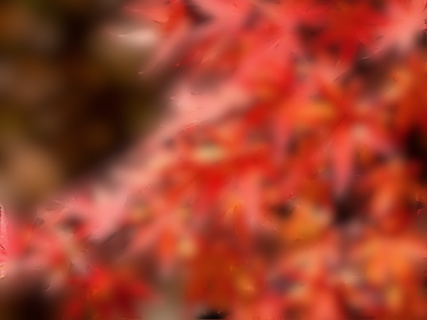 11月後半スケジュール