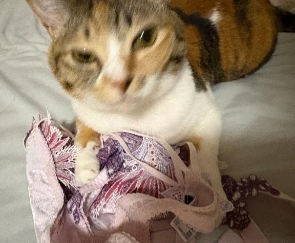 サルート大好き♡