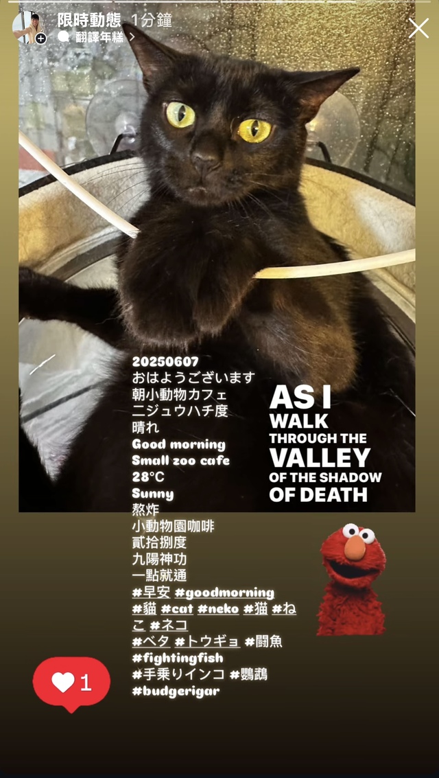 おはよう^_^