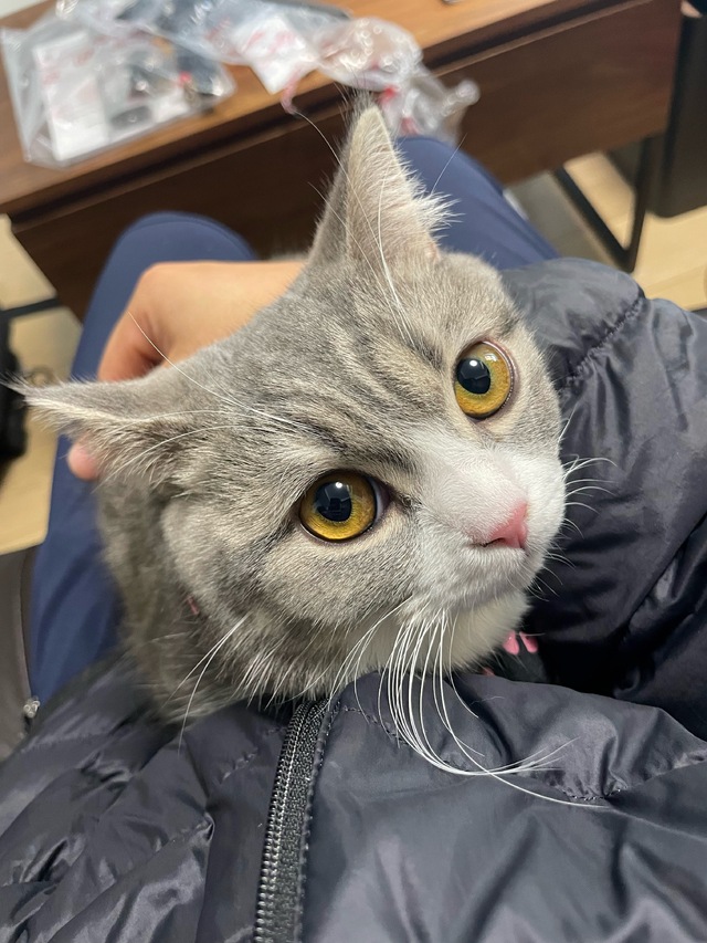 フォルダにある謎の一枚