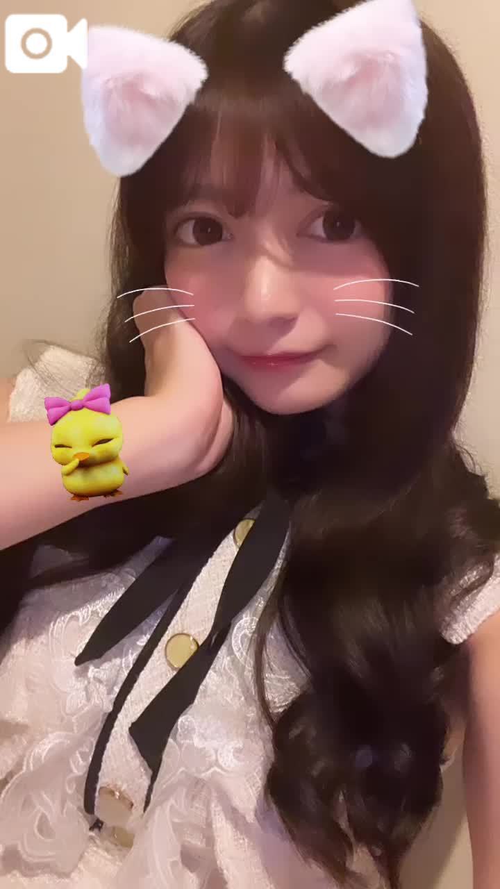 おはようでやんす🐱☀️