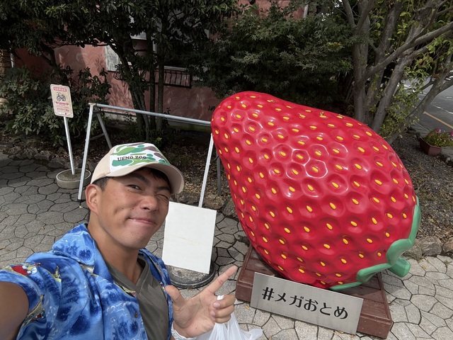 おやすみ💤