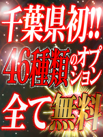 オプション全て無料！
