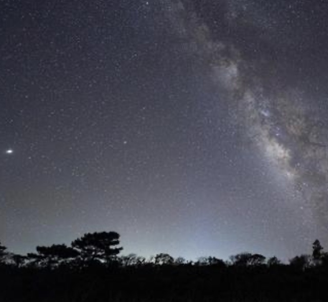 真夏の夜の夢