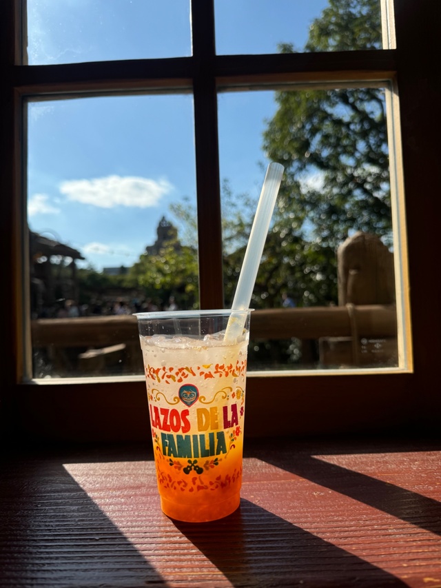 ディズニー🐭