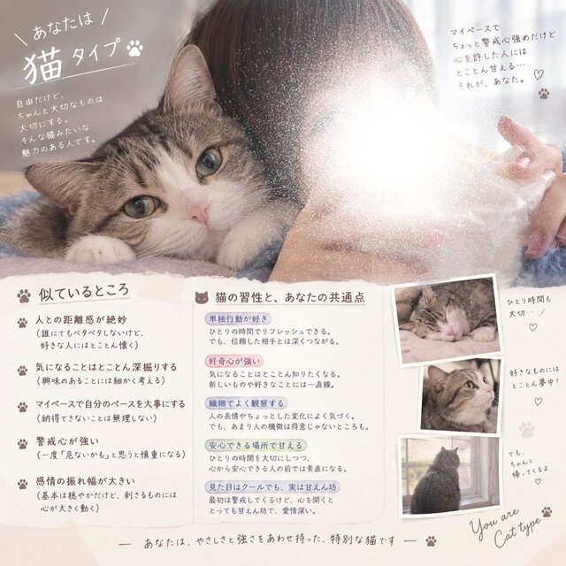 例のアレ🐈‍⬛