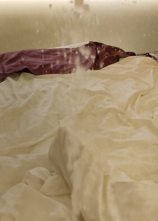 2024年12月始動🐳