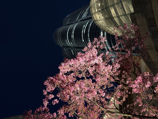 満枠御礼🌸16日と19日待ってます！