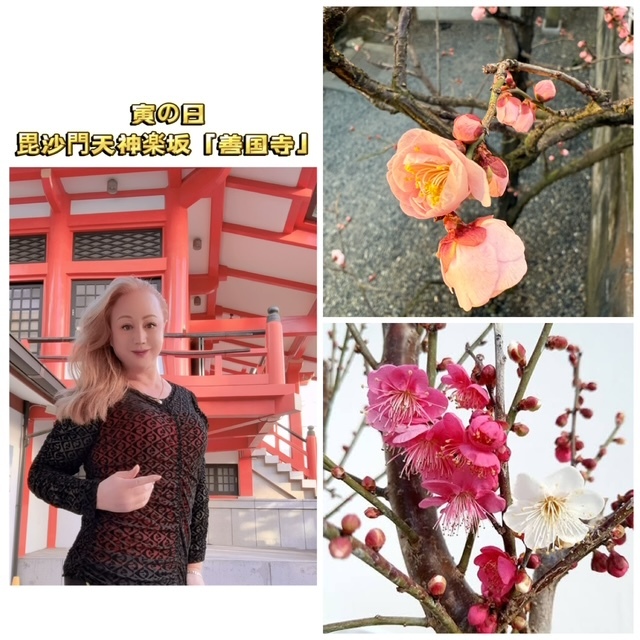~~「吉日：寅の日~神楽坂：善国寺