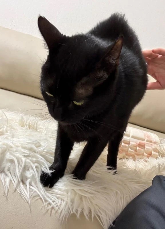 控えめのり様♡