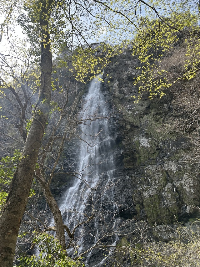 2026年実現したいこと