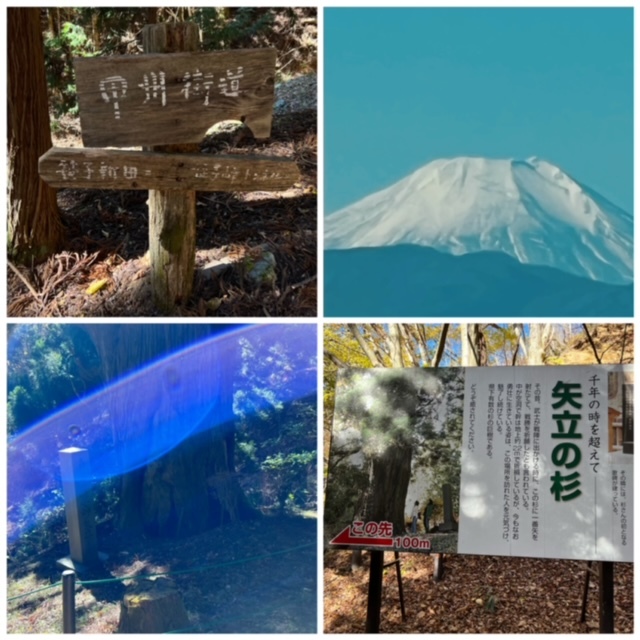 あの歌手：俳優の杉良太郎・記念歌碑がある矢立の杉・山梨県大月市