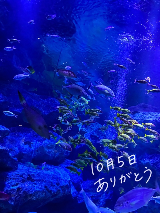 ありがとう