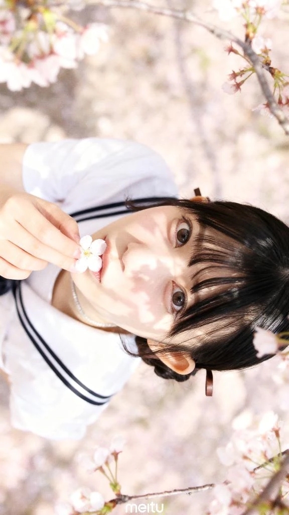 12日キャンセル発生🌸🫡