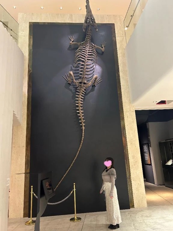 ロマンを感じるね🦕