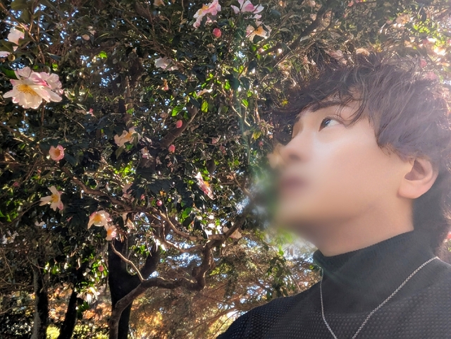 🍁紅葉🍁だけじゃなく